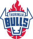 RSB Thuringia Bulls Logo